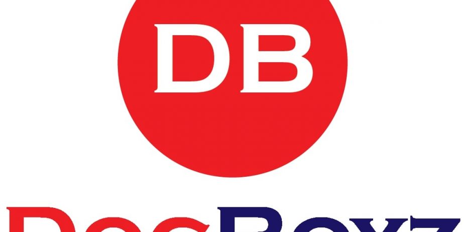 Docboyz-logo