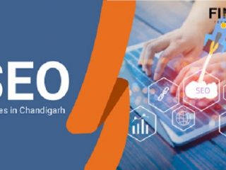 SEO-Services-In-Chandigarh