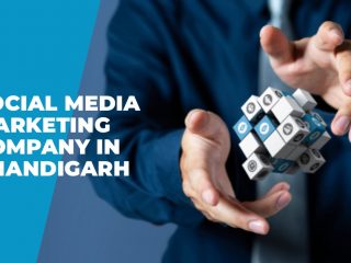 Social-Media-Marketing-Company-in-Chandigarh