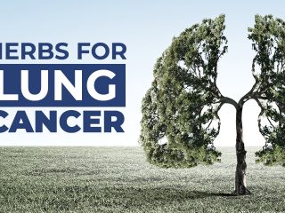 herbs-for-lung-cancer