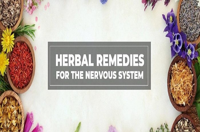 Herbal Remedies For Nervous System
