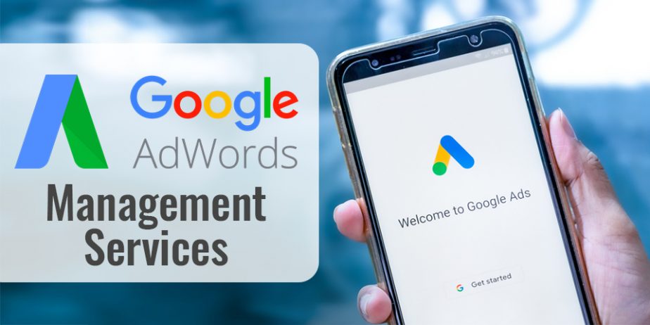 Google-AdWords-Management-services