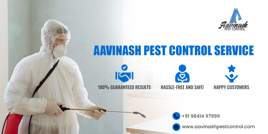 best-pest-control-services-in-chennai