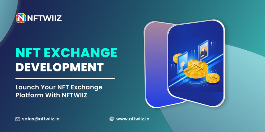 NFT-Exchange-Development-1