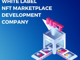 White-label-NFT-Marketplace-Development