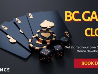 Ready to Win Big? Check Out Our BC.Game Clone Script Popular Games