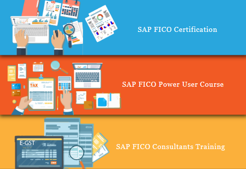 SAP FICO Classes in Delhi, Preet Vihar, SLA SAP Learning Tutorial Learning, SAP Hana Finance, GST Training Certification,