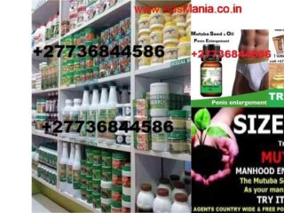 261_mutuba-seed-and-herbal-oil-for-male-enlargement-27736844586-serius-man-2-5