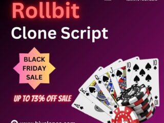 Black Friday Bonanza: Upgrade Your Crypto Gaming Business with Rollbit Clone Script