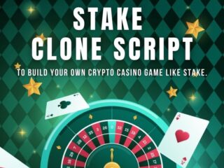 Elevate Your Crypto Gambling Business with DappsFirm’s Stake Clone Script
