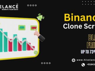 Build Your Own Crypto Exchange Empire: Hivelance’s Black Friday Sale on Binance Clone Script!