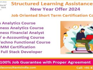 HR Payroll Course [100%Job Delhi NCR] SLA HR Institute #1