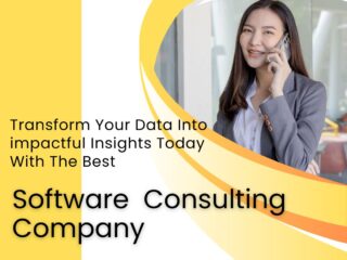 Software-Consulting-Company