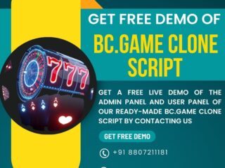 Plurance-Free-Demo-of-BC.Game-Clone-Script