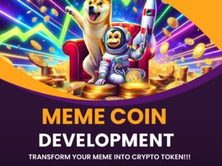 Plurance-Meme-Coin-Development-Company