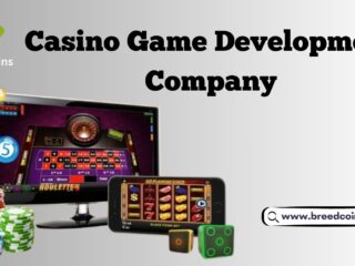 Casino-Game-Development-Company-2