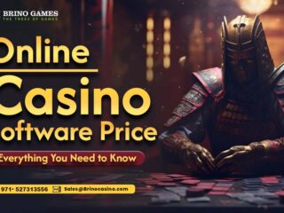 Online-Casino-Software