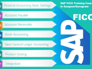 SAP-Fico-India